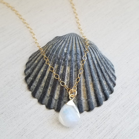 Gold necklace with a moonstone pendant on a shell against a textured white background